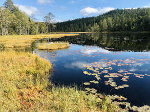 Randonnée Skuleskogen